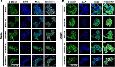 Exploring the impact of MiR-92a-3p on FOLFOX chemoresistance biomarker genes in colon cancer cell lines